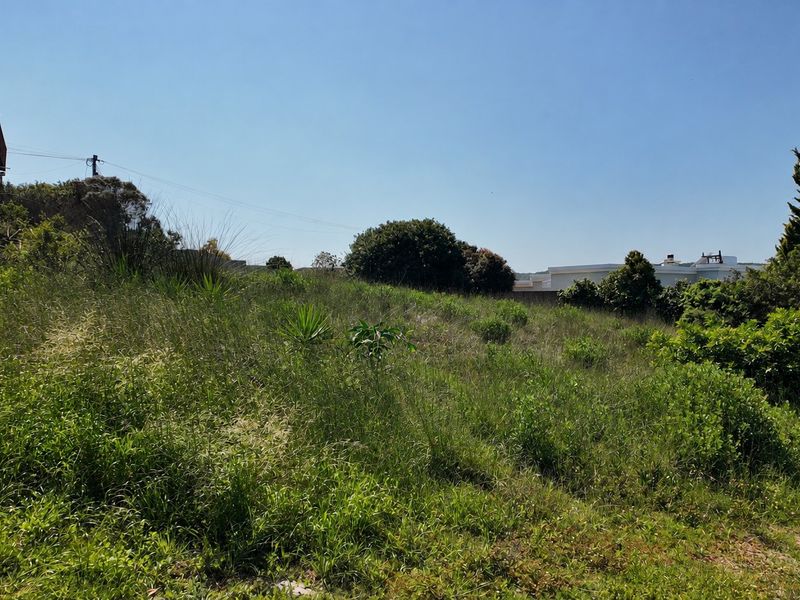A view of a sloped, undeveloped residential plot featuring natural vegetation and surrounding neighborhood context.