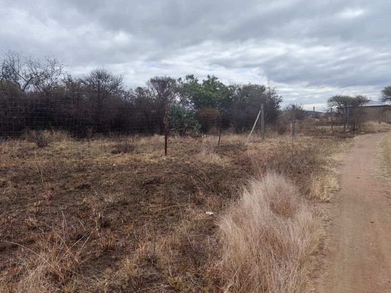 A view of a vacant residential plot featuring natural vegetation, wire mesh perimeter fencing, and adjacent dirt road access.