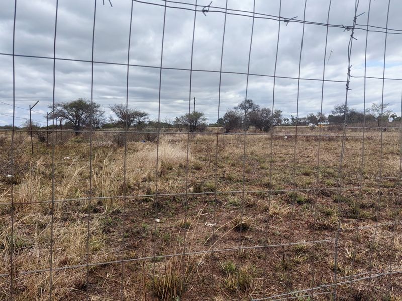 A view of a vacant residential plot enclosed by wire mesh fencing with native vegetation and scattered trees.