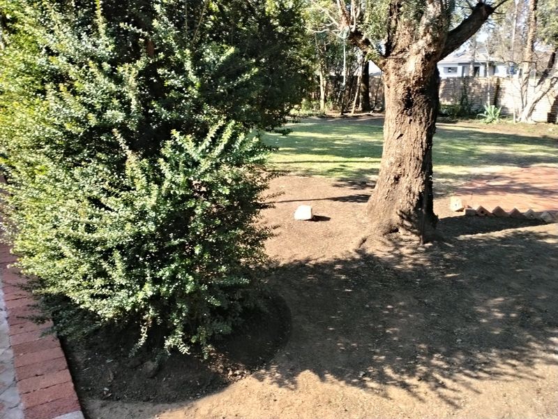 A private garden area featuring mature trees, established lawn, and brick edging, offering a natural outdoor space for the property.