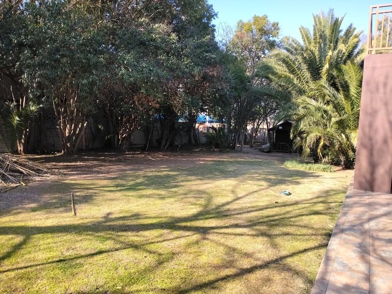 A spacious backyard garden featuring mature trees, a large palm, and a tiled patio edge, offering a private outdoor space.
