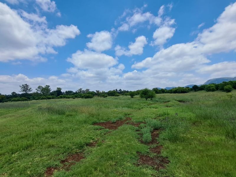 A wide-angle view of a vacant residential plot featuring natural grass and vegetation under a clear blue sky.