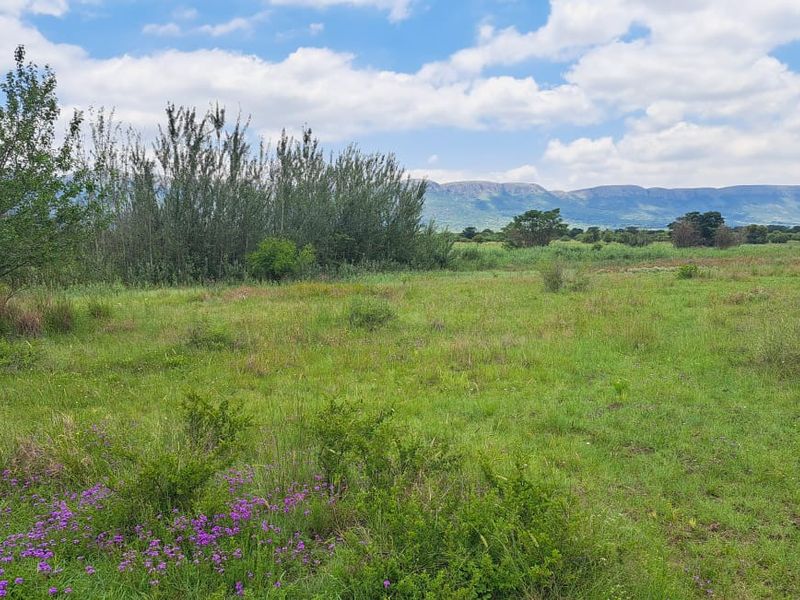 A scenic view of the vacant residential land featuring natural grass, native trees, and a distant mountain range backdrop.