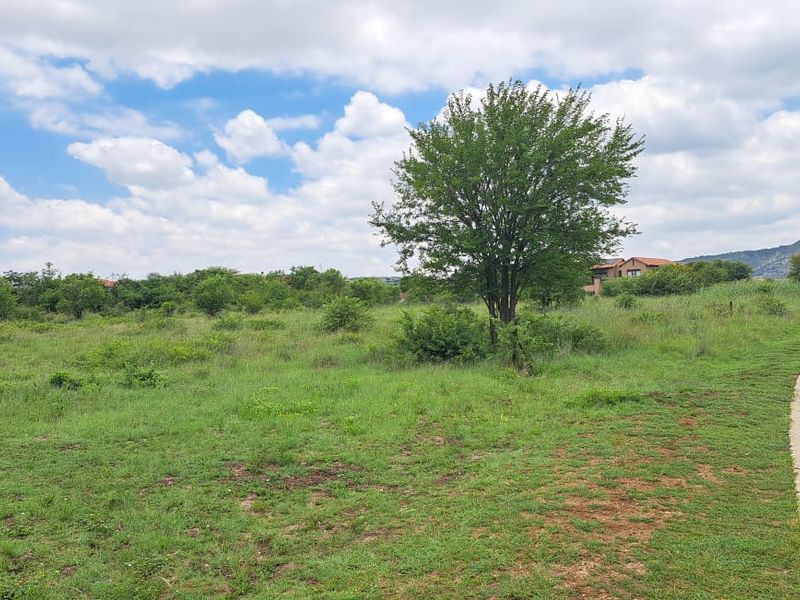 A view of a vacant residential plot featuring natural vegetation, mature trees, and adjacent paved road access.