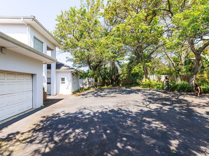 A spacious asphalt driveway leading to a garage, surrounded by mature trees and established garden greenery.