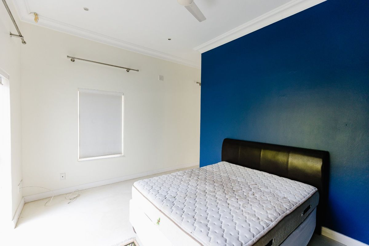 A bedroom featuring a bold blue accent wall, ceiling fan, recessed lighting, and roller blinds, providing a blank canvas for personalization.