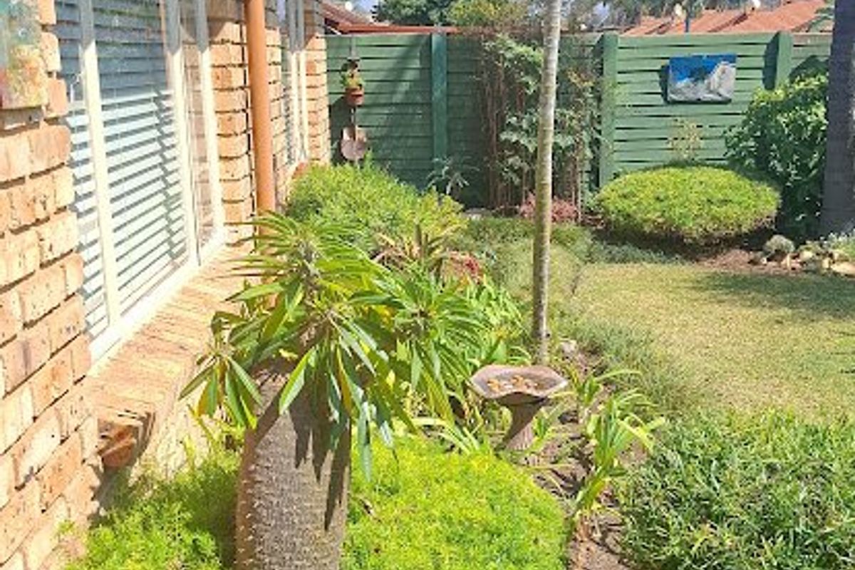 A well-maintained rear garden area featuring a brick townhouse facade, paved walkway, and established landscaping with a timber boundary fence.