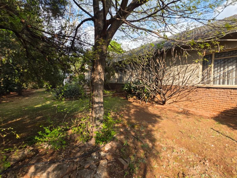 A view of the rear exterior of the house featuring a brick facade, tiled roof, and security bars, set within a large, overgrown garden area.