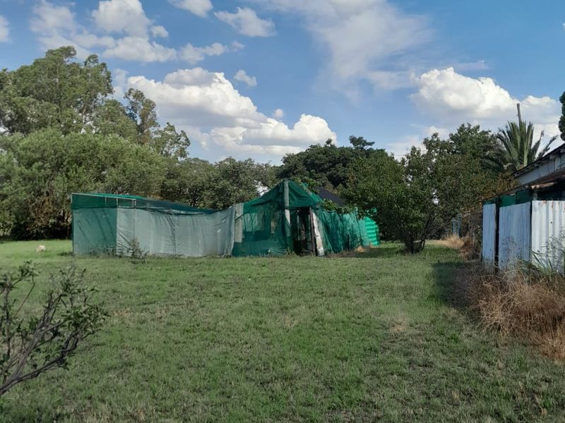 Expansive garden area featuring a large greenhouse structure with shade netting and adjacent corrugated metal outbuildings.