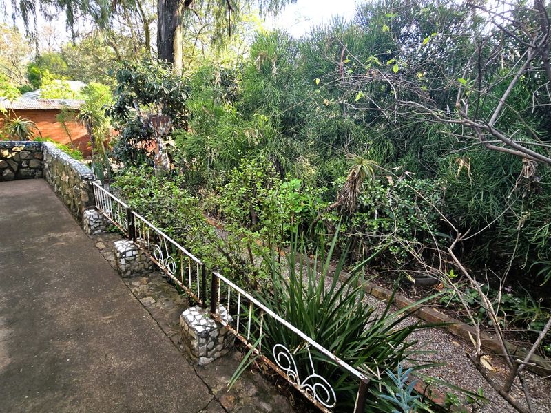 A garden area featuring a concrete pathway, stone retaining wall, and metal railing, surrounded by dense, overgrown vegetation.