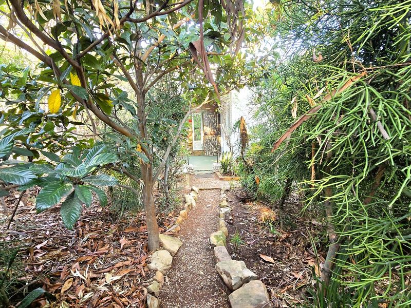 A narrow, stone-bordered garden pathway leads through dense, mature foliage toward the entrance of the property.