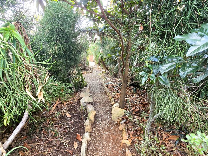 A narrow, stone-edged gravel pathway winds through a lush, mature garden with dense foliage and established trees.