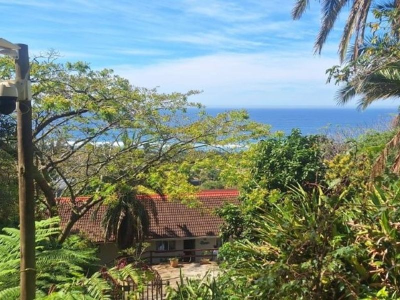 Elevated view overlooking the property grounds with lush greenery and a scenic ocean horizon in the background.