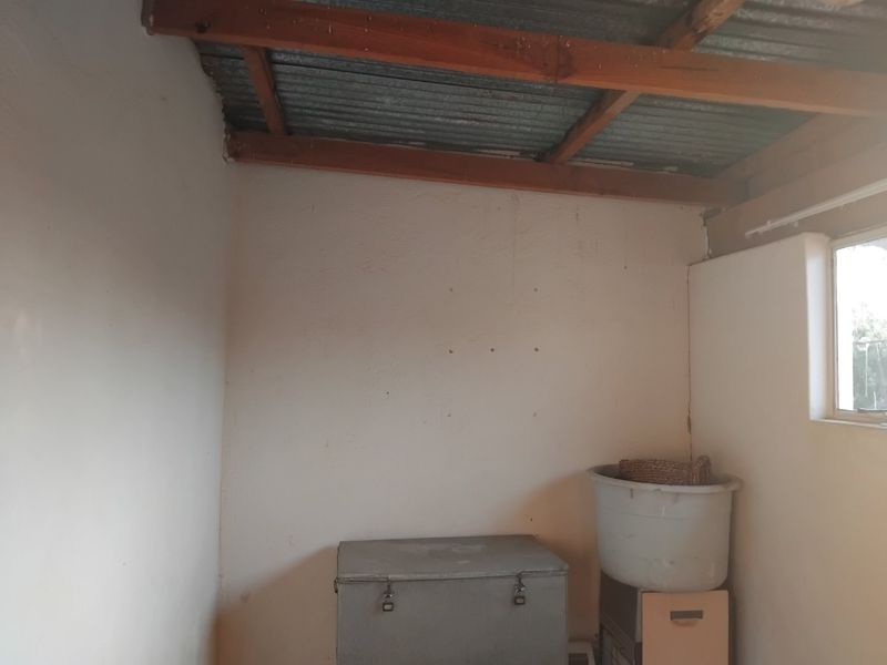 A basic utility space featuring exposed timber rafters, a corrugated metal roof, and a single casement window, suitable for storage or workshop conversion.