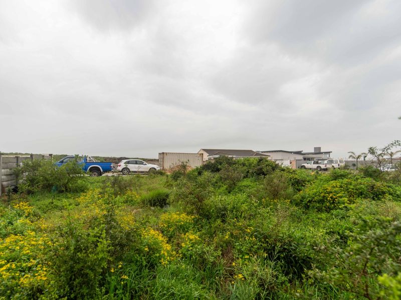 A view of a vacant residential plot featuring overgrown natural vegetation and a precast concrete boundary wall.