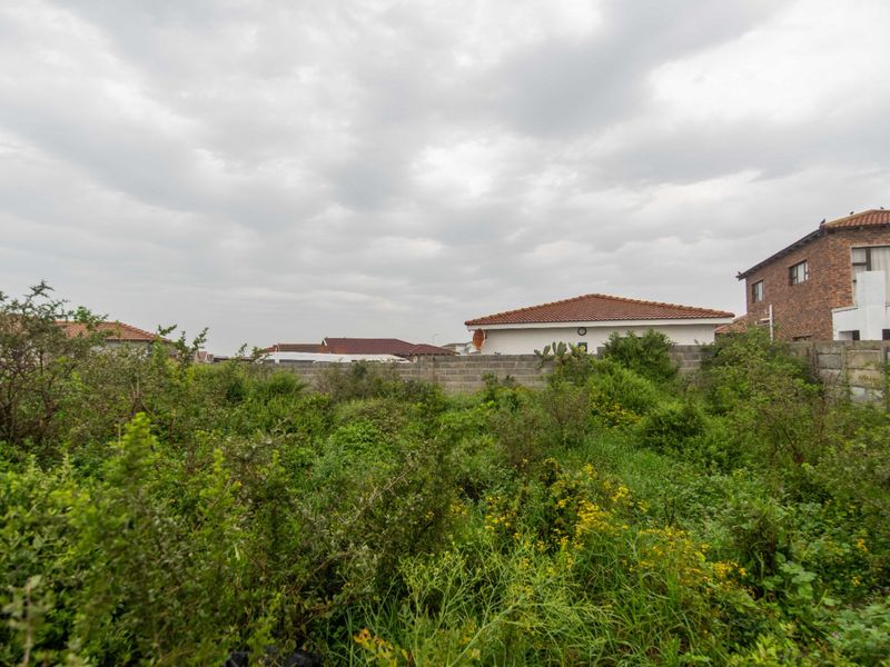 A vacant residential plot featuring dense, overgrown vegetation and a perimeter boundary wall, situated within an established neighborhood.