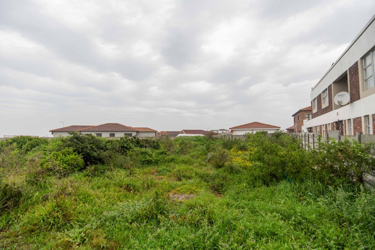 A view of a vacant residential plot featuring overgrown vegetation, enclosed by boundary walls and fencing, adjacent to existing residential properties.