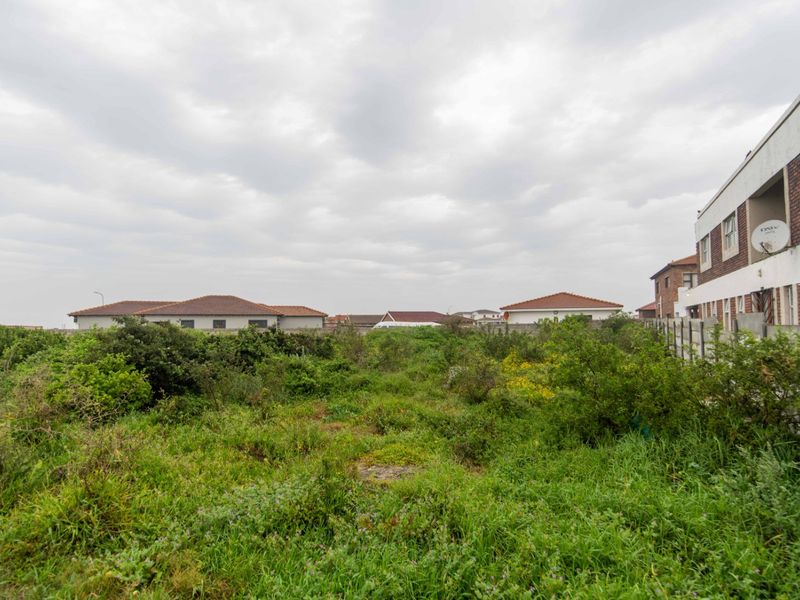 A view of a vacant residential plot featuring overgrown vegetation, enclosed by boundary walls and fencing, adjacent to existing residential properties.