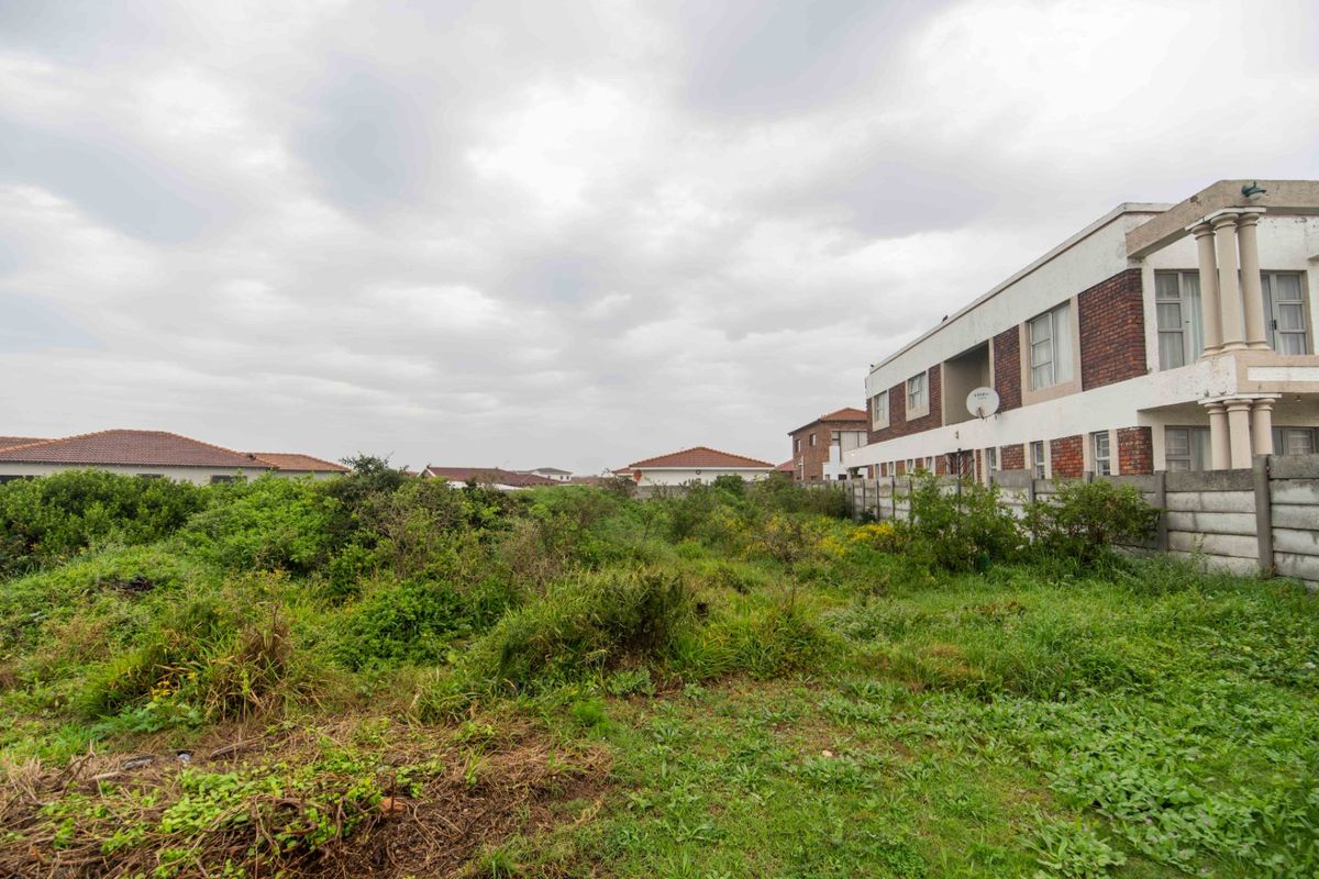 A vacant residential plot featuring overgrown vegetation, enclosed by a precast concrete boundary wall with neighbouring residential properties visible.