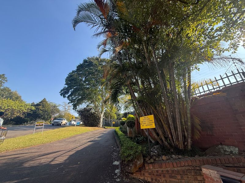 A view of the property entrance featuring an asphalt driveway, established palm trees, and a brick boundary wall with security fencing.