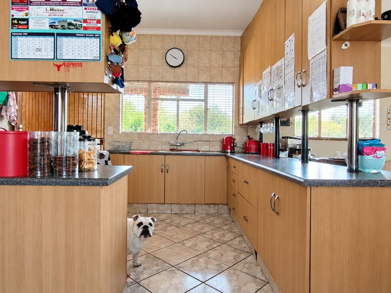 Spacious 2.1-hectare smallholding with a flat - Photo 6