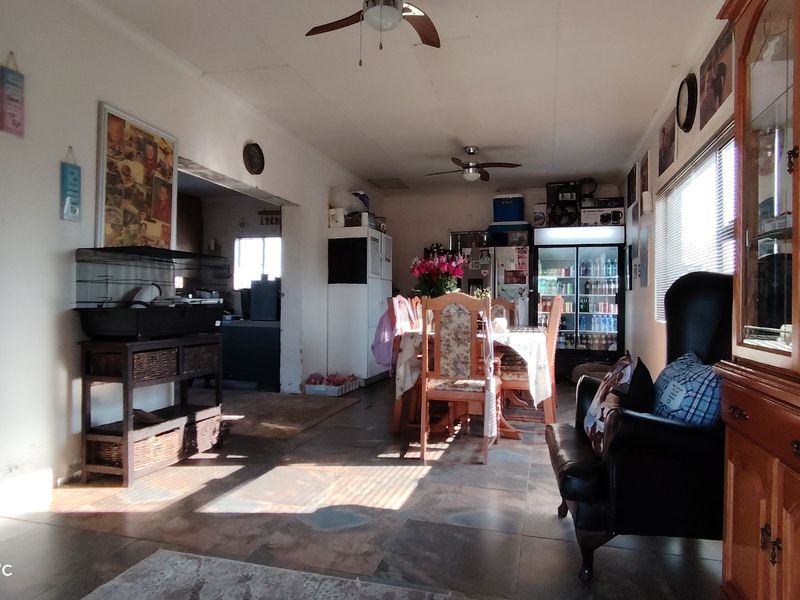 Spacious 2.1-hectare smallholding with a flat - Photo 9