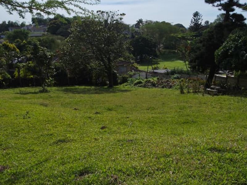 A spacious, well-maintained garden area featuring a natural lawn and stone paving, offering a pleasant outdoor space with surrounding greenery.
