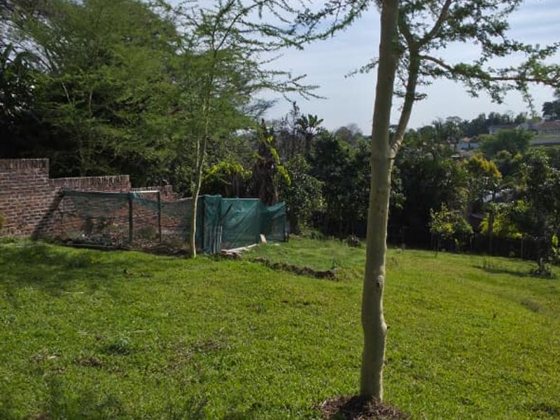 A spacious, sloping garden area featuring established trees and a brick boundary wall, offering potential for landscaping and outdoor development.