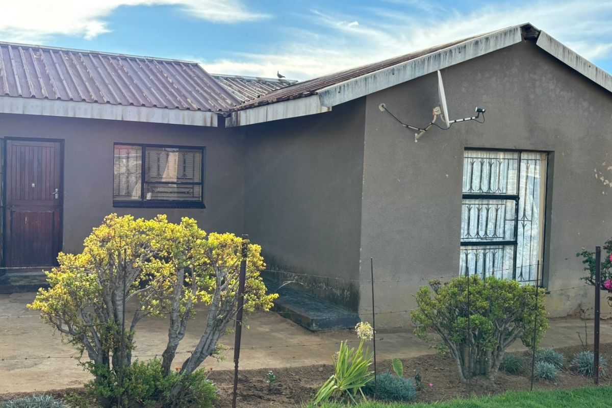 Rear view of the house featuring a corrugated metal roof, security bars on windows, and a concrete patio area.
