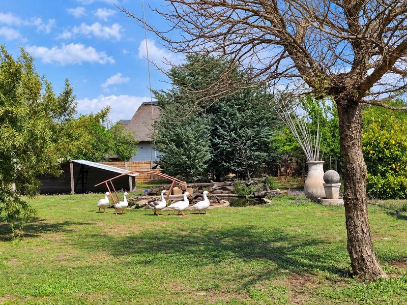 A spacious farm garden featuring a small pond, mature trees, and established landscaping.