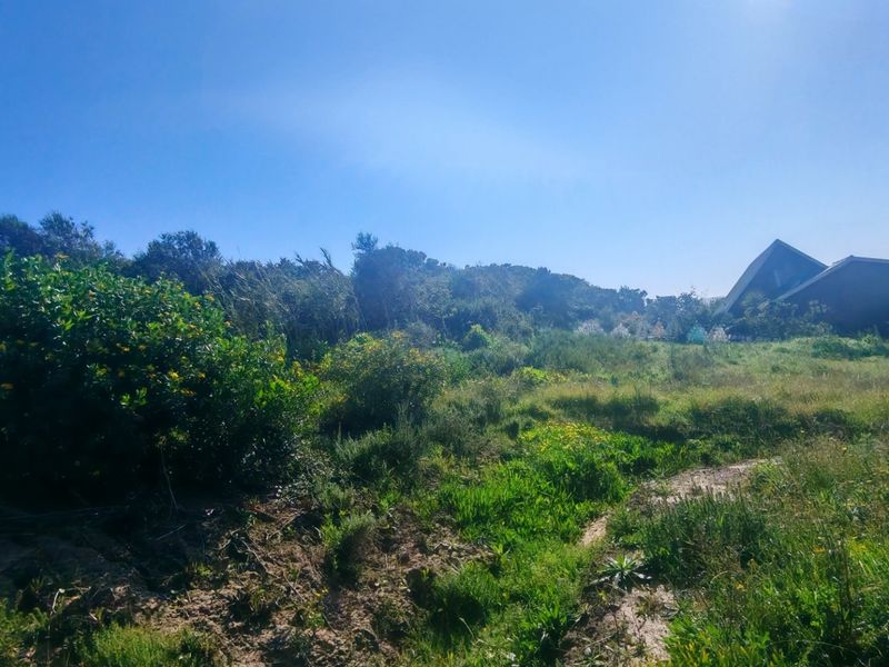A view of a natural, undeveloped residential plot featuring native vegetation and established shrubs under a clear blue sky.