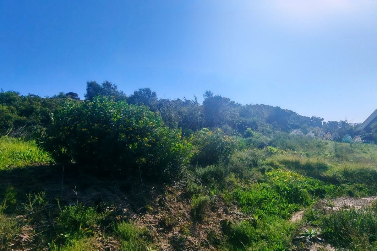 A view of the natural, undeveloped residential land featuring native vegetation and sloped terrain under a clear blue sky.