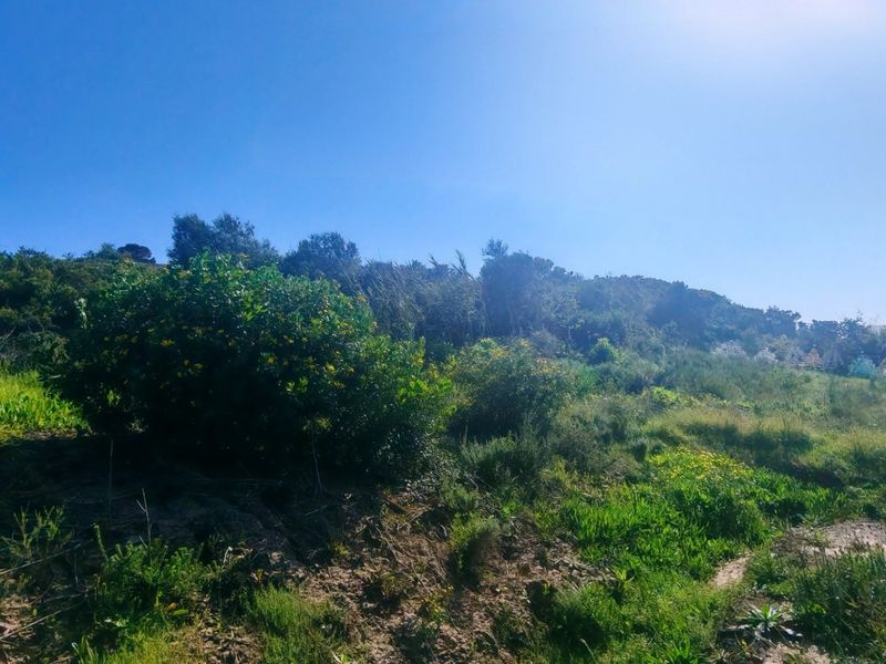 A view of the natural, undeveloped residential land featuring native vegetation and sloped terrain under a clear blue sky.