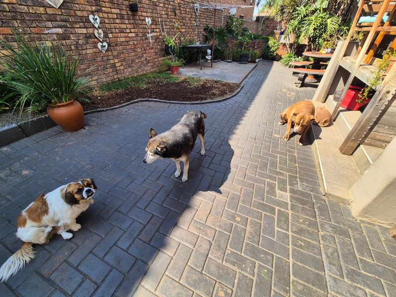 A paved rear courtyard area featuring a brick boundary wall and a built-in braai facility.