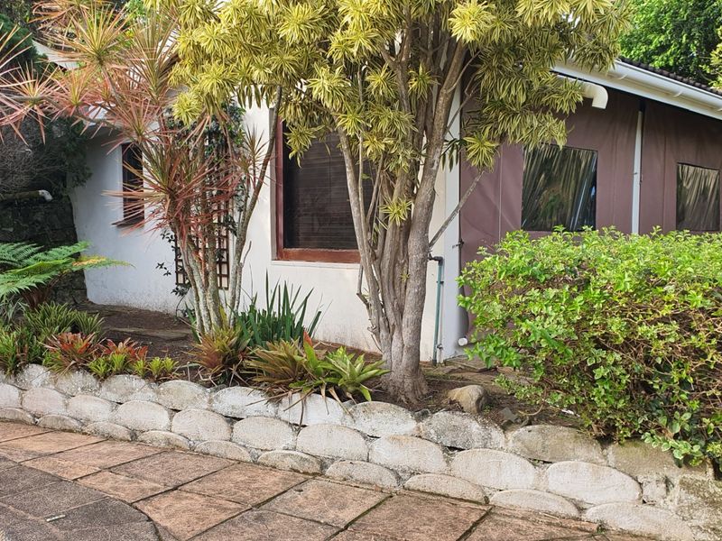 Rear exterior view showing a paved patio area, retaining wall, and a structure with canvas enclosures and timber window frames.