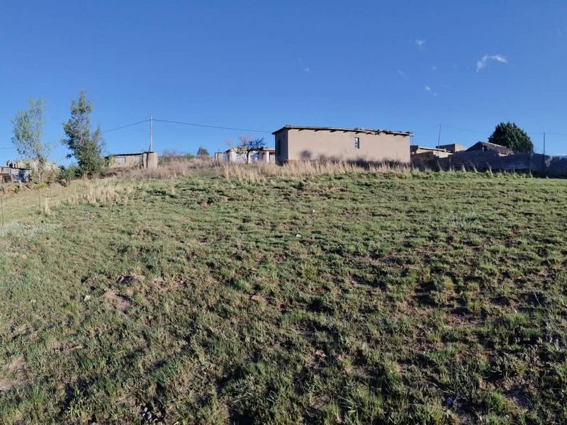 A view of the rear property grounds featuring sloped land and existing outbuildings with visible exterior wear.