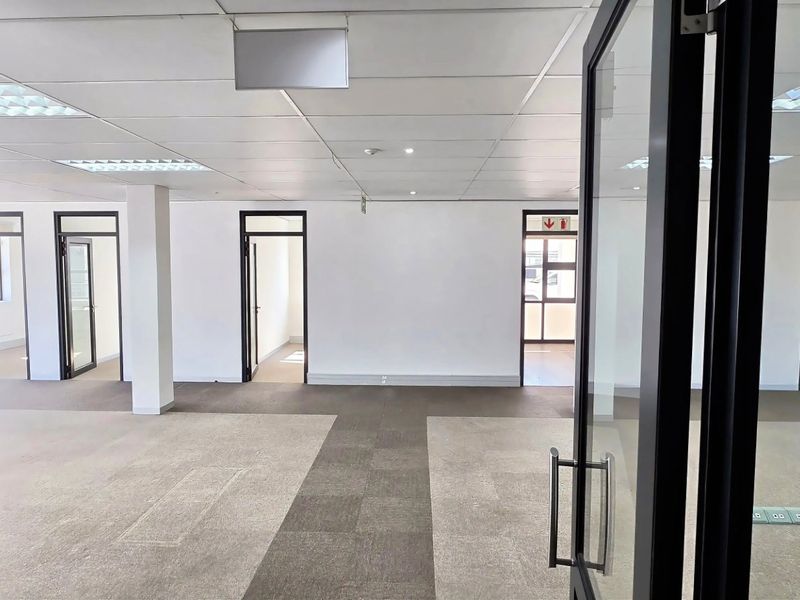 A spacious, vacant commercial office area featuring a suspended ceiling, carpeted flooring, and multiple glass-paneled doorways leading to individual office suites.