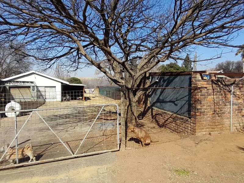 Rear yard area featuring brick boundary walls, wire fencing, a metal gate, and a paved section with a shade cloth structure.