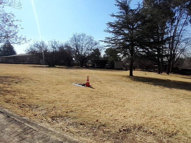 A spacious, open garden area featuring mature trees, a paved driveway, and a view of the property's exterior side facade.