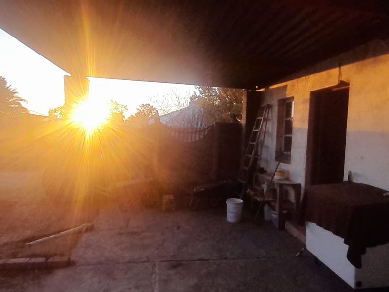 A covered outdoor patio area featuring concrete flooring and a corrugated iron roof, offering potential for renovation and outdoor living space enhancement.