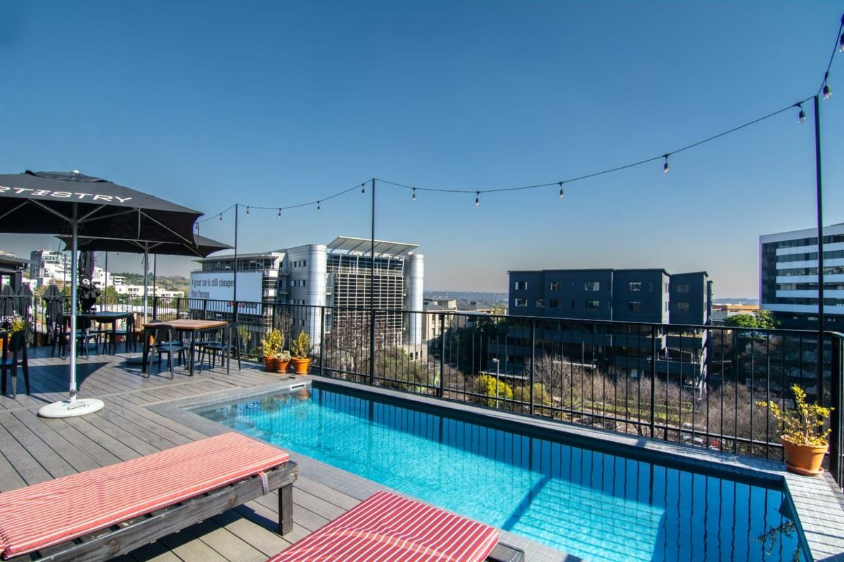 Rooftop terrace featuring a swimming pool with timber decking, metal safety balustrades, and overhead string lighting, offering an elevated urban view.