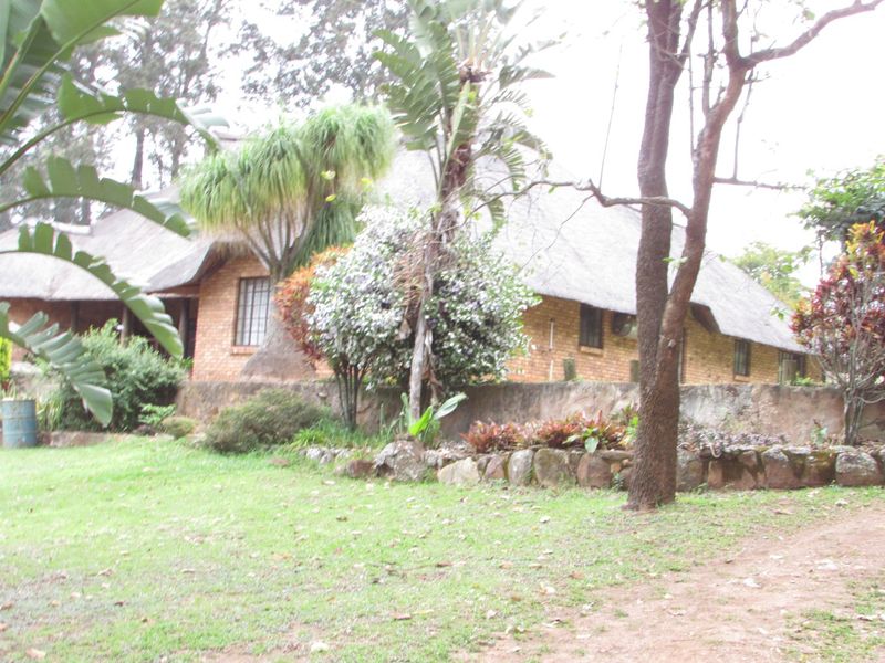 A view of the rear of the farm-style residence featuring a traditional thatch roof, face brick exterior, and established garden with stone retaining walls.