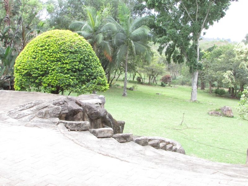A spacious garden area featuring a stone retaining wall, paved patio section, and mature trees overlooking a lush green lawn.