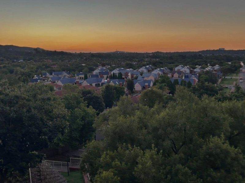 Elevated sunset view overlooking a residential neighborhood with mature trees and suburban housing.