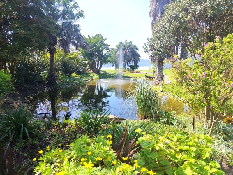 A beautifully landscaped garden featuring a central pond with a fountain, surrounded by mature trees and lush greenery.