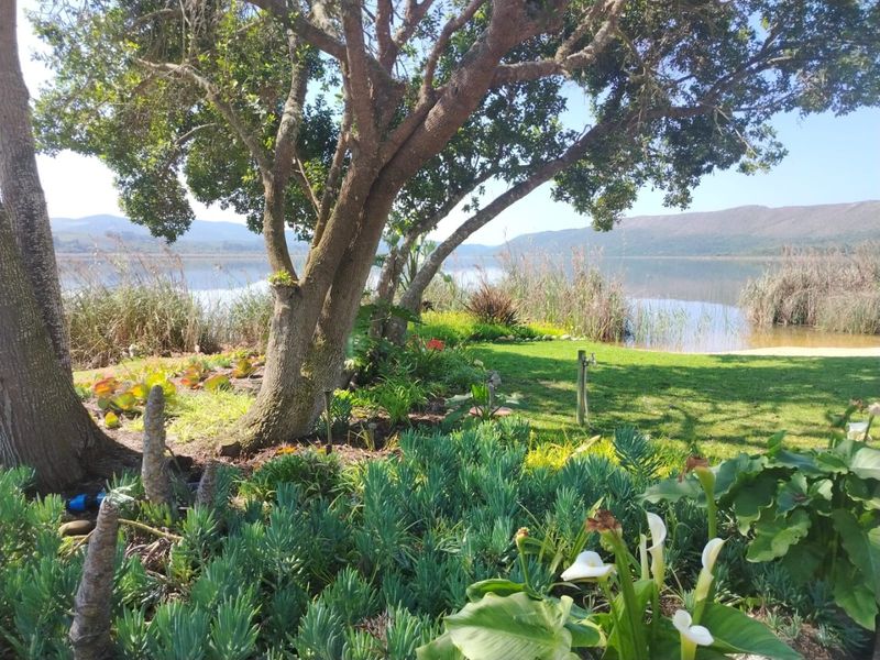 A beautifully landscaped garden featuring mature trees and lush greenery, offering a serene outlook towards the tranquil lake and distant mountains.