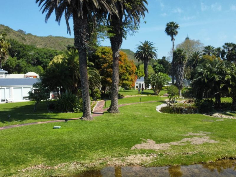 A beautifully landscaped garden featuring mature palm trees, manicured lawns, paved pathways, and a tranquil pond, set against a scenic mountain backdrop.