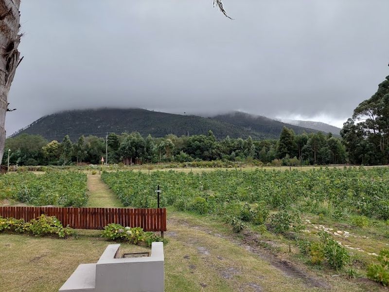 Scenic view of the farm landscape featuring a built-in braai area and timber fencing, set against a backdrop of forested mountains.