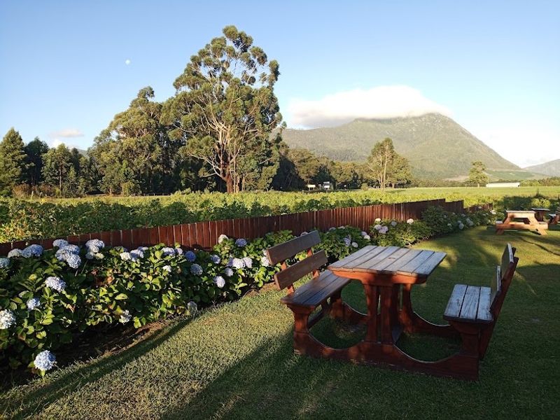 Scenic view of a well-maintained garden with a timber fence, overlooking lush green fields and a prominent mountain backdrop.