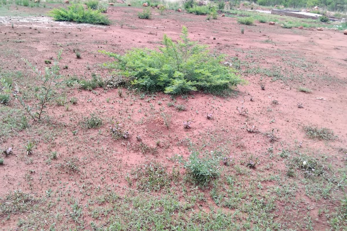 A view of an undeveloped residential plot featuring natural ground cover and sparse vegetation.